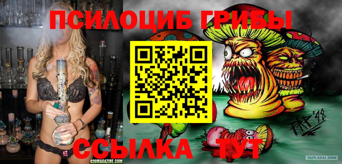 Псилоцибиновые грибы Cubensis Полевской