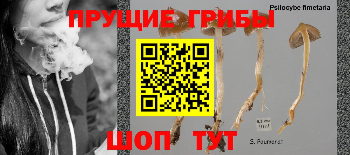 Полевской  Псилоцибиновые грибы ЛСД  Вход с VPN 